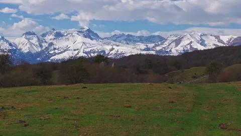 Lone Dead Tree on Spring Hill with Snowy Peaks Stock Footage 306679375