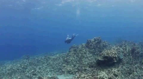 Lone Diver on a Hawaiian Reef Stock Footage 10607935