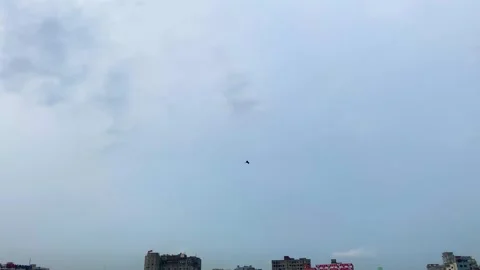 Lone Eagle flying in blue sky over city dwelling while searching prey - low Stock Footage 334841368