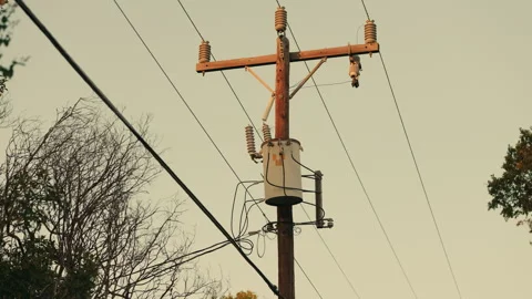 Lone Electric Pole with Trees and Late Afternoon Sky Stock Footage 281519684