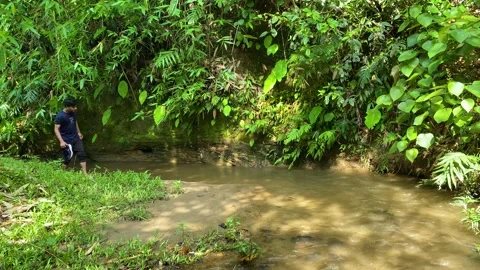 Lone explorer discovering remote forest creek while walking barefoot upstream Stock Footage 344092206