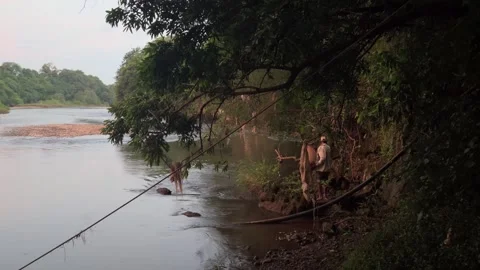 A lone figure with a bamboo trap stands by a serene river Stockbeeldmateriaal 318673401