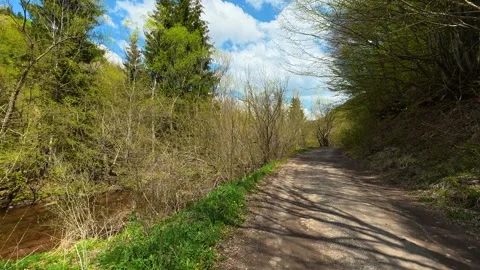 Lone figure walks, lost in tranquil forest peace. Near Tupavica Waterfall Видео 335530576