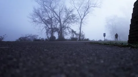 Lone figure walks into misty forest Stock Footage 292829925