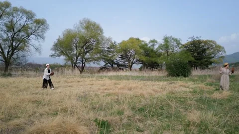 Lone figure walks through open grassland beneath a clear sky Stock Footage 340133089