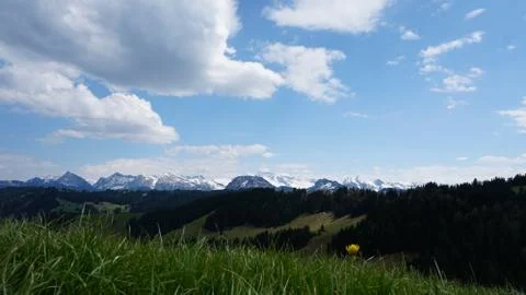 Lone flower and an Alpine range Stock Photos