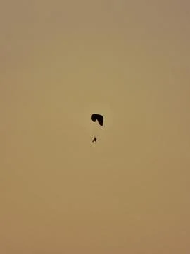 Lone Flyer Stock Photos