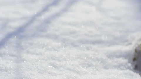 A lone Grass in the Snow Video stock 68772357