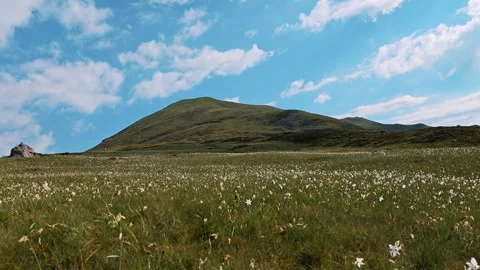 Lone green rounded hill on alpine plateau under clear blue sky Stock Footage 336124169