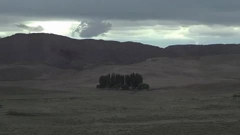 Lone Grove of Trees in Desert Valley Under Cloudy Sky Stock-Footage 332251502