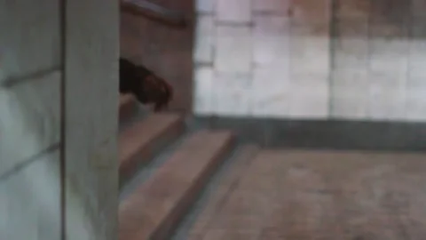 A lone guy walks in the subway alone. Stock Footage 130738060