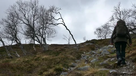 A lone hiker with backpack climbs a steep rocky mountain trail Stock Footage 318197397
