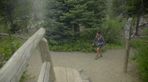 Lone hiker crosses wooden bridge Stock Footage 59132063