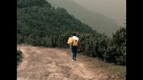 Lone Hiker on Dirt Path Stock Footage 278240557