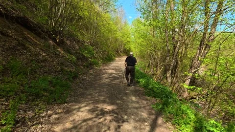 Lone hiker walks down a forest trail. Balkan, Eastern Europe, POV Video stock 333589509