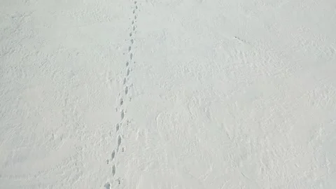 Lone human with backpack and ski poles walk through endless snow covered ground Stock Footage 195139614