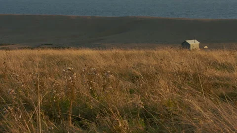 Lone hut in the middle of nowhere 스톡 동영상 151100294