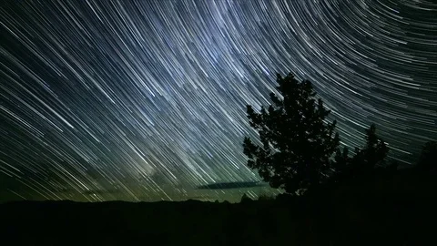 Lone Juniper Tree and Milky Way with Clouds in the Desert Abstract Star Trails Stock Footage 81888164