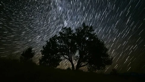 Lone Juniper Tree on a Ridge in the Desert Star Trails Night Time Lapse Video stock 81888075