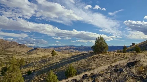 Lone juniper tree on a ridge under blue sky and clouds in the desert Stock Footage 81764386