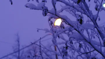 A lone lantern is shining through snow-covered branches Video stock 85558689