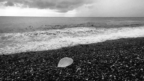 Lone Leaf on Stormy Pebbly Beach Crashing Waves, Black and White Melancholic Slo Stock Footage 326225396