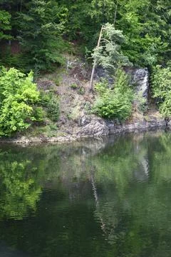 Lone Leaning Pine Tree Above Rocky Lakeside Forest Reflection Stock Photos