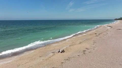 A lone man with a couple of dogs on a deserted endless beach Stock Footage 251854053