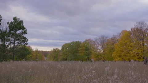 A lone man crosses through a field in autumn Stock Footage 158940019