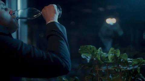 A lone man drinking wine by the window Video stock 258329041