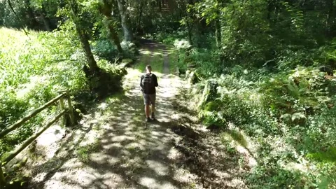 Lone man walking in the forest contemplating Stock Footage 205042395