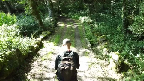 Lone man walking in the forest contemplating Stock Footage 205042396