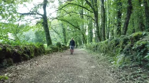 Lone man walking in the forest contemplating Stock Footage 205042397