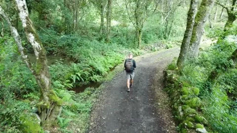 Lone man walking in the forest contemplating Stock Footage 205042403