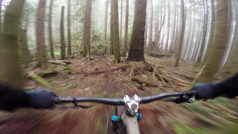 Lone Mountain Biker Riding Through A Foggy Forest Stock Footage 114551454