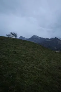 Lone mountain tree Foto stock