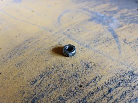 Lone nut Fotos Stock