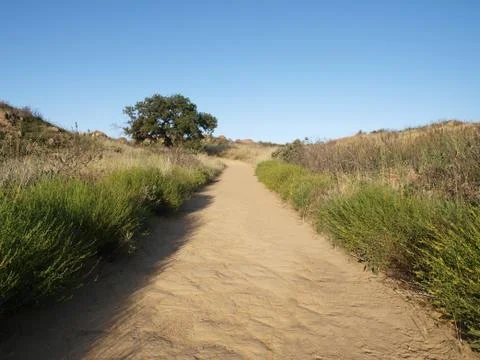 Lone oak road Stock Photos