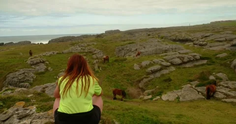 Lone Observer and Wild Horses: Stock Footage 333207348