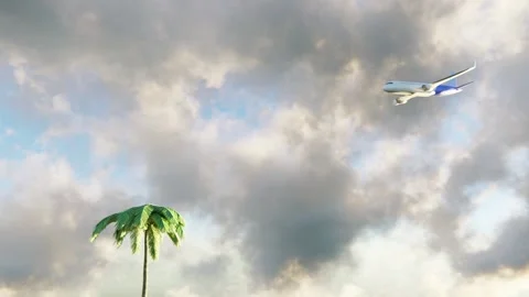 A Lone Palm Tree Standing Tall Against the Dramatic and Beautiful Cloudy Sky Stock Footage 301371071
