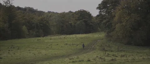 Lone person in field Stock Footage