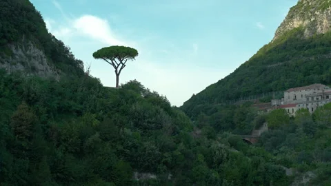 Lone Pine Tree Above Green Valley Near Vietri Italy Hillside Architecture Видео 346738564