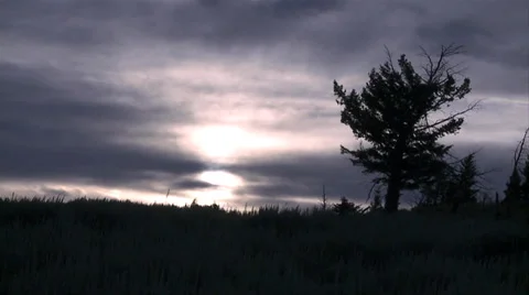Lone Pine Tree in Dusk Time Lapse Stock Footage 39578148