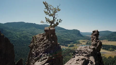 Lone pine tree on rock pinnacle above mountain valley Video stock 348024194