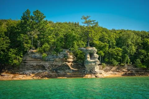 Lone Pine Tree Standing on Rock wall Connected to mainland by Roots Stock Photos