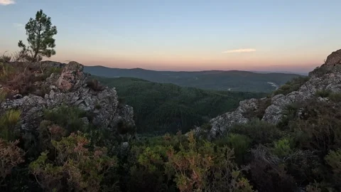 A lone pine tree stands on a rocky outcrop overlooking a dusky mountain Видео 346293224