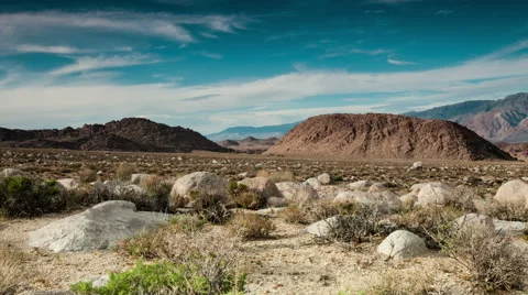 Lone pine zoom and pan into sunset over Mt Whitney Stock-Footage 48919901