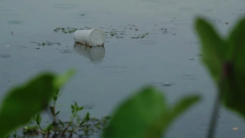 Lone plastic cup discarded in the river Stock Footage 254190813