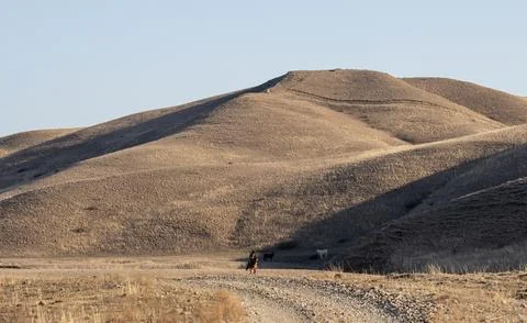 Lone Rider on a Rustic Trail Through the Georgian Hills at Dusk Stock Photos