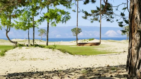A lone rope swing hangs from a tree, swaying in the wind on a sandy, Sunny beach Stock Footage 151363909
